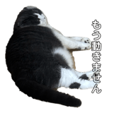 846022323