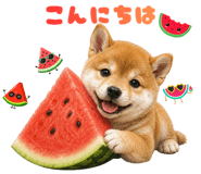 846023283