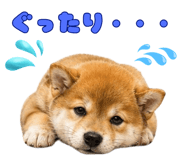 846023284