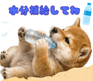 846023288