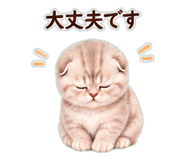 846024607
