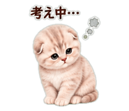 846024613
