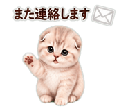 846024616