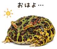 846026825