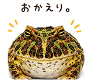 846026828