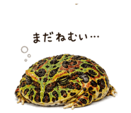 846026829
