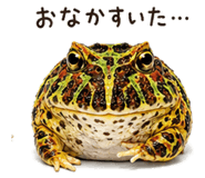 846026830