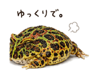 846026832