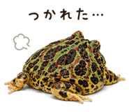 846026833