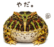 846026836
