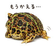 846026839