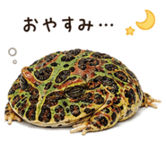 846026840