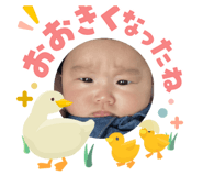 846028597