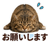 846030301