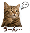 846030310
