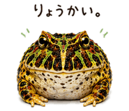 846030674