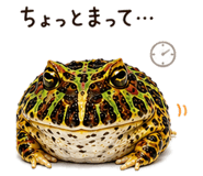 846030676