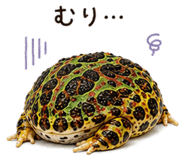 846030677