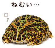 846030678