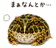 846030681