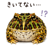 846030683