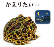 846030684