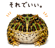 846030685