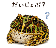 846030686