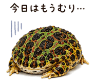 846030687