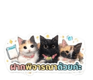846032685