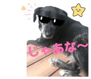 846032690