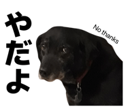 846032693