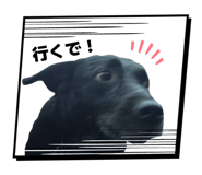 846032696