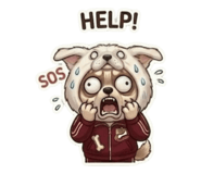 846033116