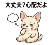 846033587
