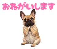 846033774