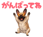 846033777