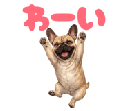 846033778