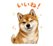 846033823