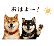 846033827