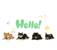 846033834