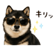 846033835