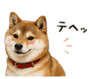 846033836