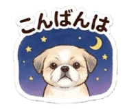 846034509