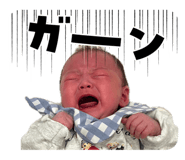 846034535