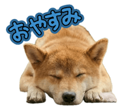 846034603
