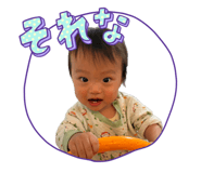 846034641
