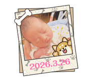 846034745