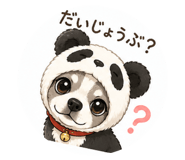 846034804