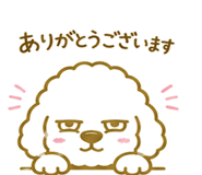 846035651